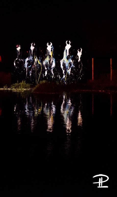 Spectacle "Féria" aux Arènes des Saintes-Maries-de-la-Mer - 2017