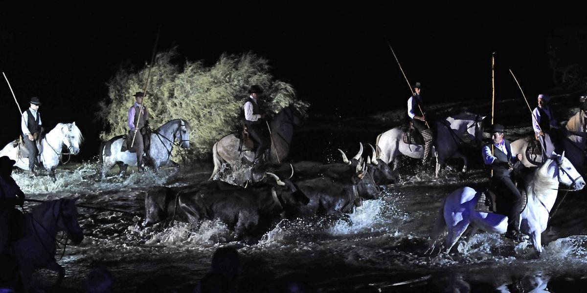 Spectacle "Nuit de Songe" en Camargue - 2017