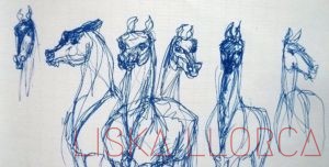 Horses