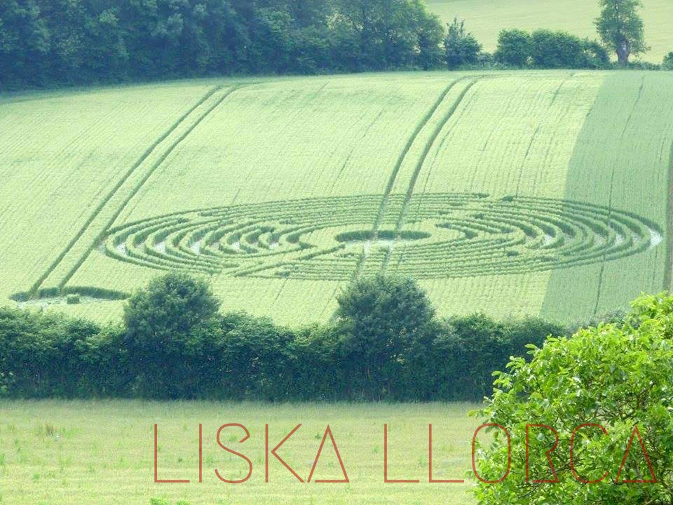 "Crop circrle" - 2014 - Cellé, France