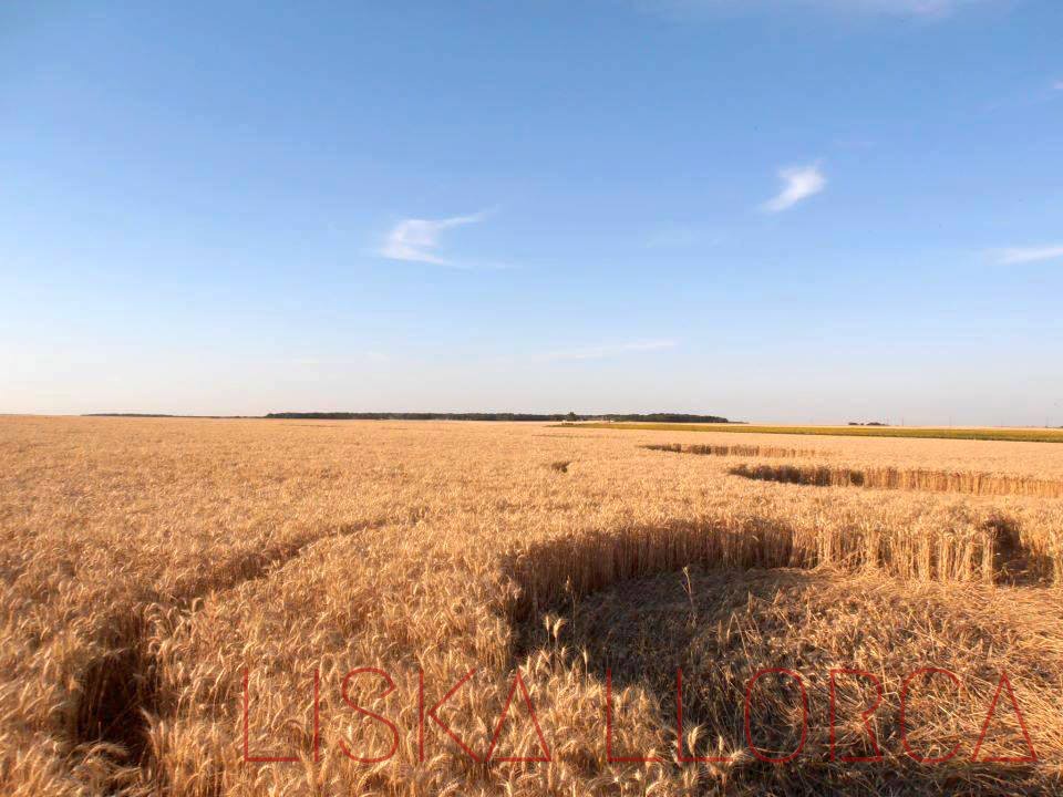 "Crop circle" - 2011 - Selommes, France
