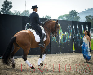 A cheval 06 - 2017