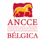 ANCCE-BELGICA